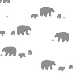Bear Silhouette in Smoke