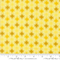 Ribbon Stars in Sunshine