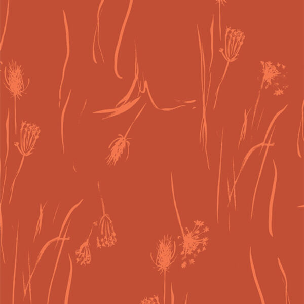 Seed Head in Six