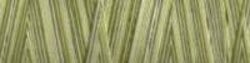 Spring Prairie - Variegated