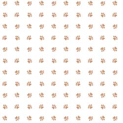 Paw Prints in Biscuit