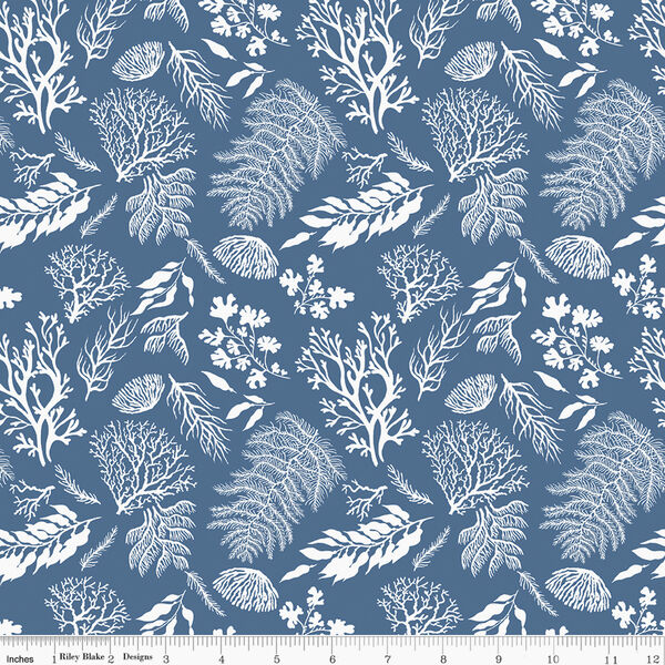 Water Plants in Blue