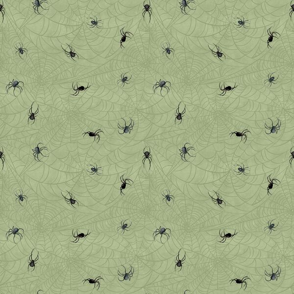 Spiders in Sage