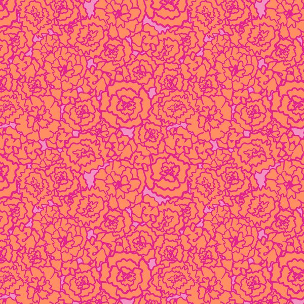Marigold in Rosa