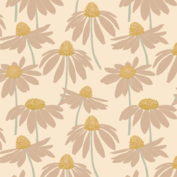 Coneflower in Sugar