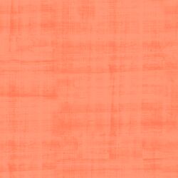 Texture in Coral