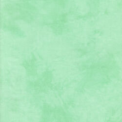 Palette in Minty Green