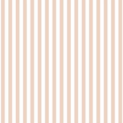 Dress Stripe in Shell
