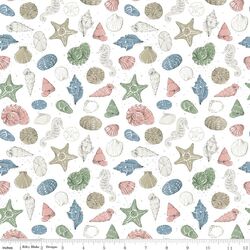 Shells in White