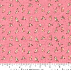 Orlo in Blush