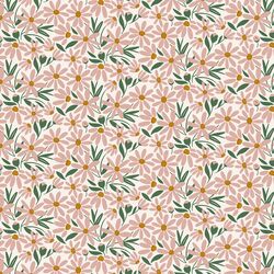 Daisy Garden in Bloom