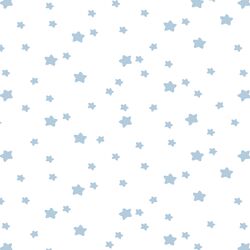 Star Light in Sky on White