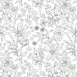 Wildflower Sketches in White