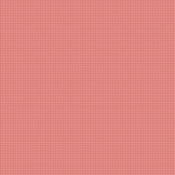 Gingham in Red