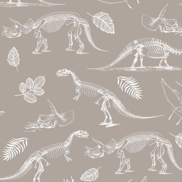 Fossils in Taupe