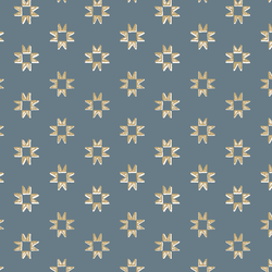 Stamped Barn Star in Nocturne