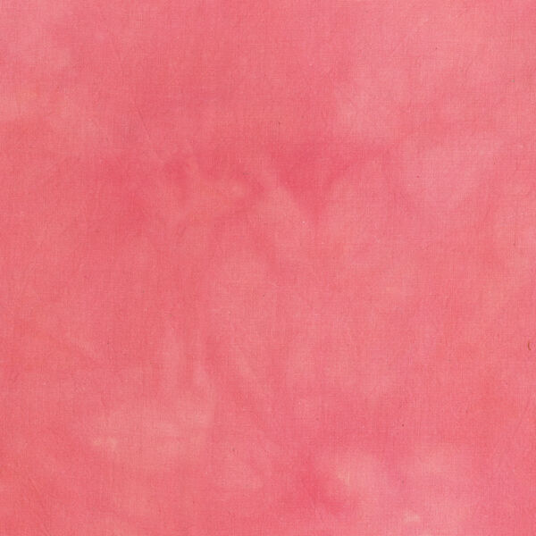 Palette in Cactus Rose