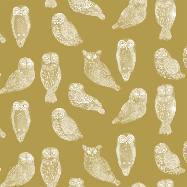 Snowy Owls in Gold