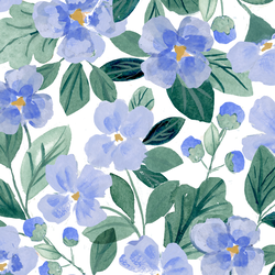 Forget Me Not in White