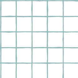 Windowpane in Pool on White