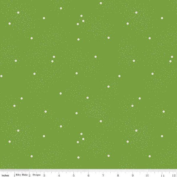 Dainty Daisy in Holly