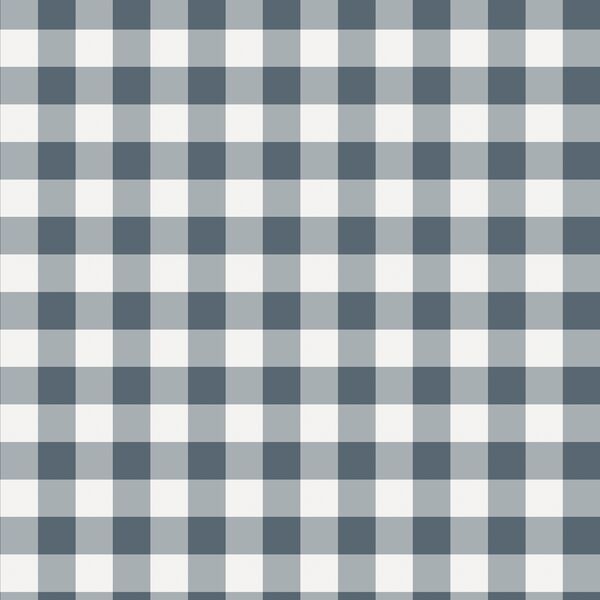 Gingham in Midnight Blue
