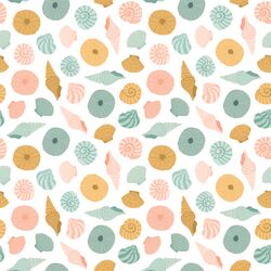 Shells in Reef