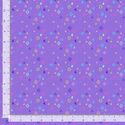 Quiltstellation in Zodiac