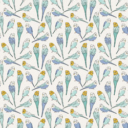Little Parakeet Sketches in Sky