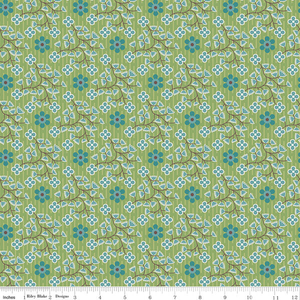 Swell in Basil
