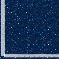 Felis in Navy