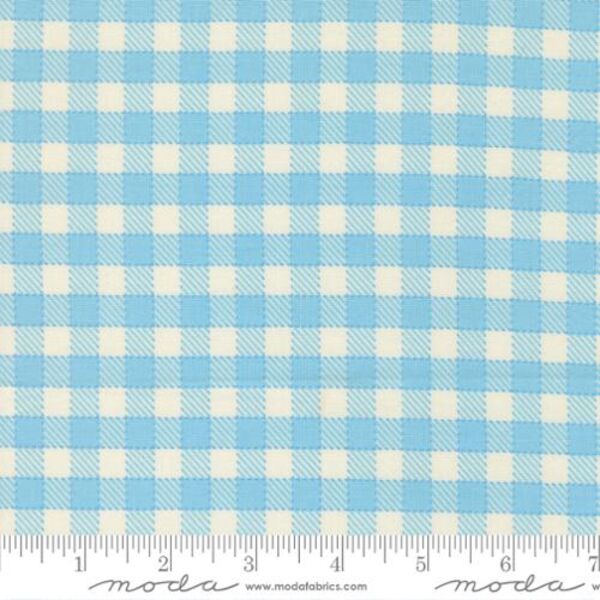 Baby Check in Aqua