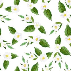 Strawberry Blossoms in White
