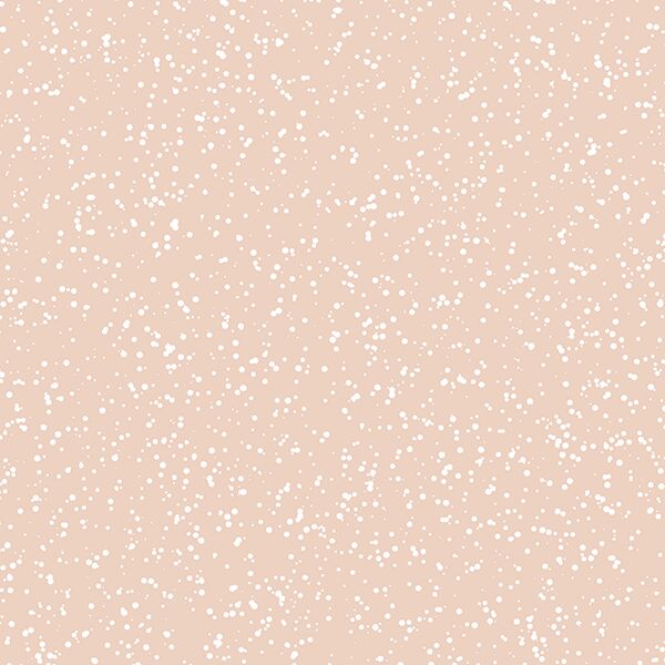 Stardust in Shell