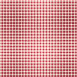 Gingham in Red