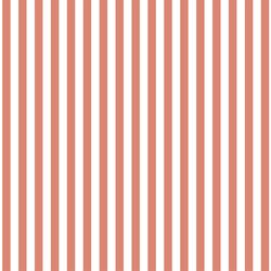 Dress Stripe in Desert Rose