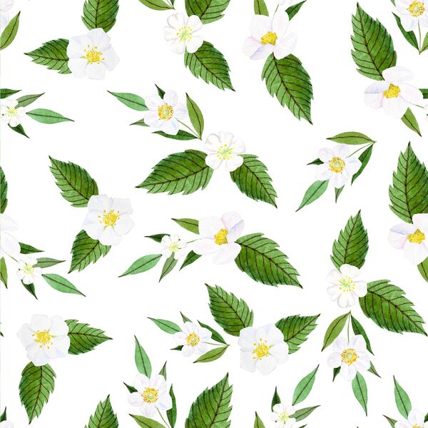 Strawberry Blossoms in White