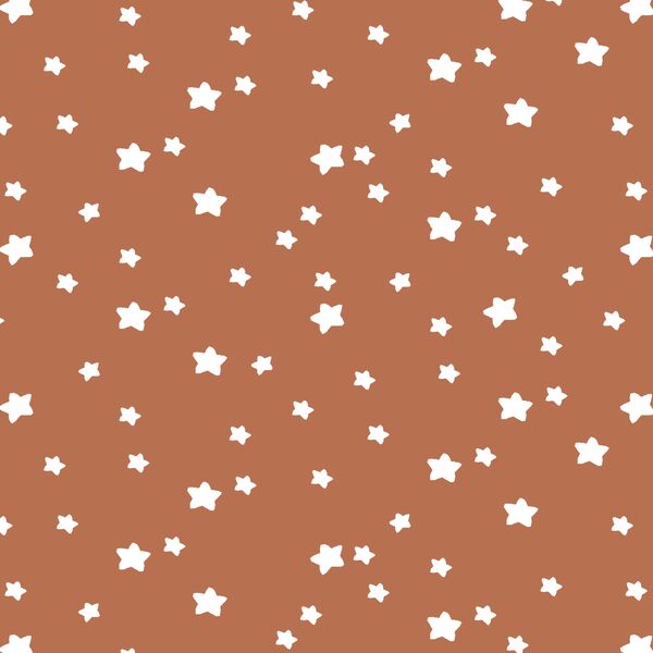 Star Light in Terracotta
