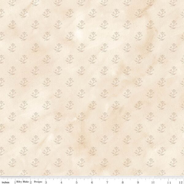 Floral in Cream
