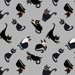 Kitties in Gray