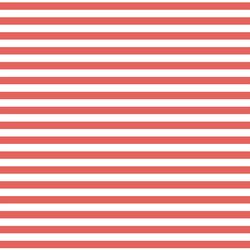 Horizontal Dress Stripe in Salmon