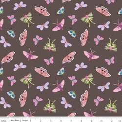Moths in Brown