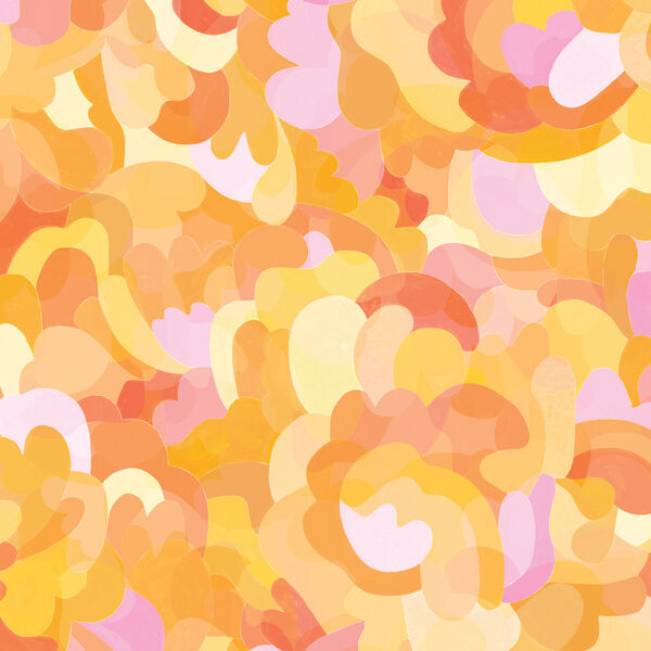 Clouds in Sunshine