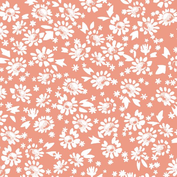 Daisies in Grapefruit