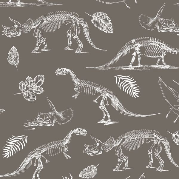 Fossils in Stone