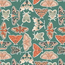 Moth to a Flame in Evergreen