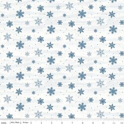 Snowflakes in Snow