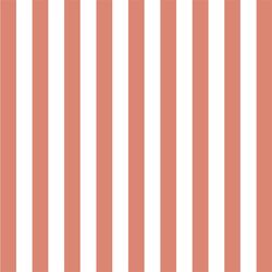 Candy Stripe in Desert Rose