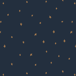 Starlight in Dark Navy