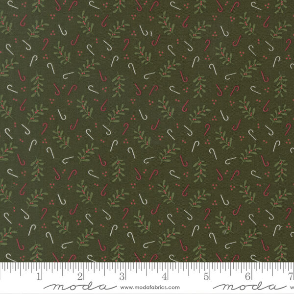 Holly Candy in Pine